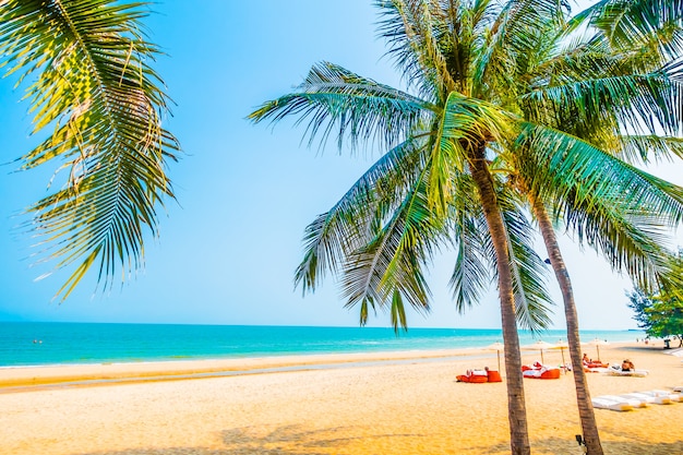 Beautiful Palm Tree on the Beach – Free Stock Photo for Download