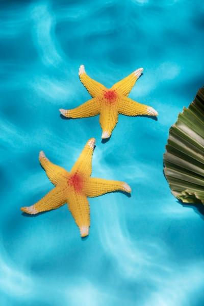 Beach Accessories from a Top View – Free Download