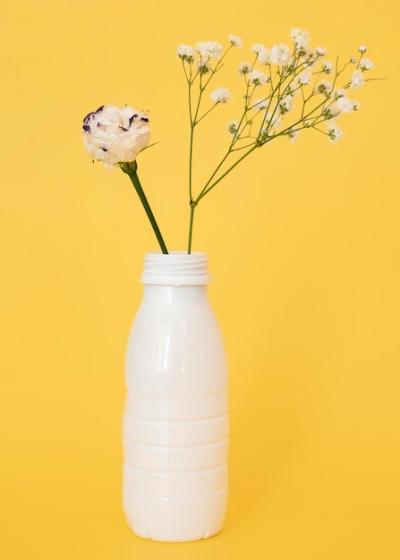 Non-Eco-Friendly Plastic Objects Arrangement – Free Stock Photo for Download