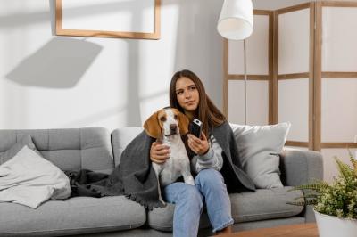 Medium Shot of a Girl with a Dog Holding a Remote – Free Download