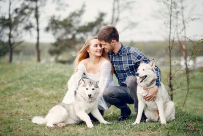 Beautiful Couple in a Summer Forest with Dogs – Free Download