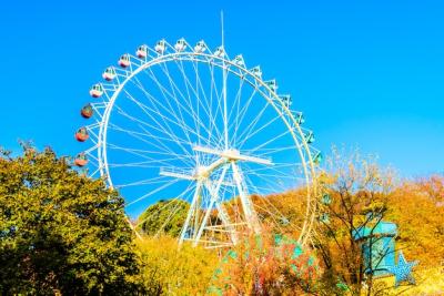 Ferris Wheel in the Park – Free Stock Photo for Download