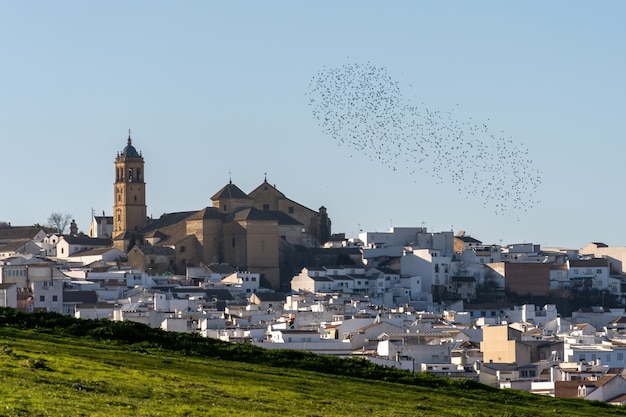 Small City in the Countryside – Free Stock Photo for Download