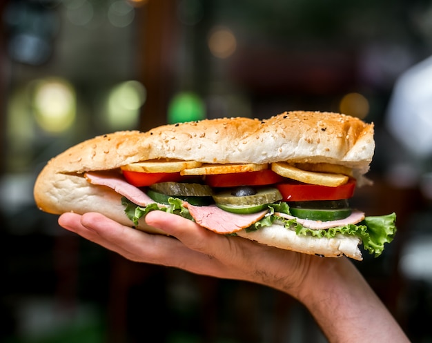 Side View of a Man Holding a Sandwich – Free Download