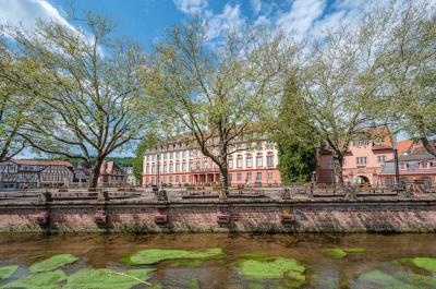 Stunning Scenes of Erbach/Odenwald in Germany – Download Free Stock Photos