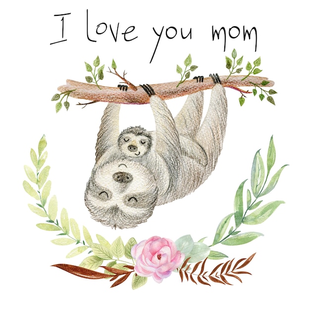 Watercolor Sloth Mom and Baby – Free Stock Photo, Download for Free