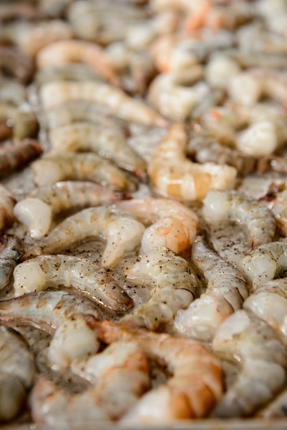Cropped Image of Fresh Royal Shrimps – Free Stock Photo for Download