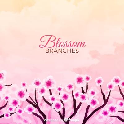 Cherry Blossom Background Vector – Free Download
