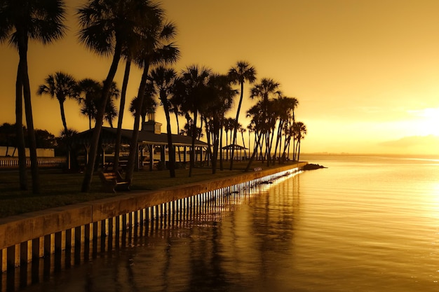 Stunning Sunset Gazebo Surrounded by Palm Trees Near Water – Free to Download