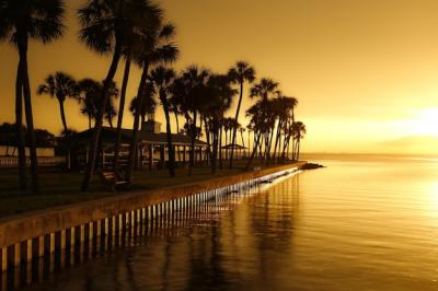 Stunning Sunset Gazebo Surrounded by Palm Trees Near Water – Free to Download