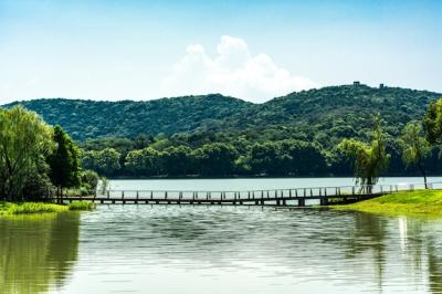 Old Bridge in Chinese Park – Free Download