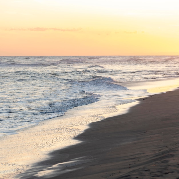 Beach Sand Next to a Peaceful Ocean – Free Download