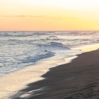 Beach Sand Next to a Peaceful Ocean – Free Download