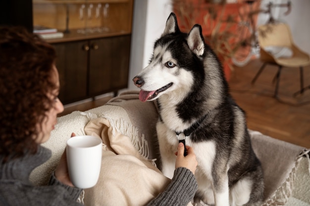 Quality Time with Pets – Free Stock Photo for Download