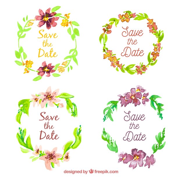 Watercolor Labels with Floral Frame – Free Download, Download Free Stock Photo