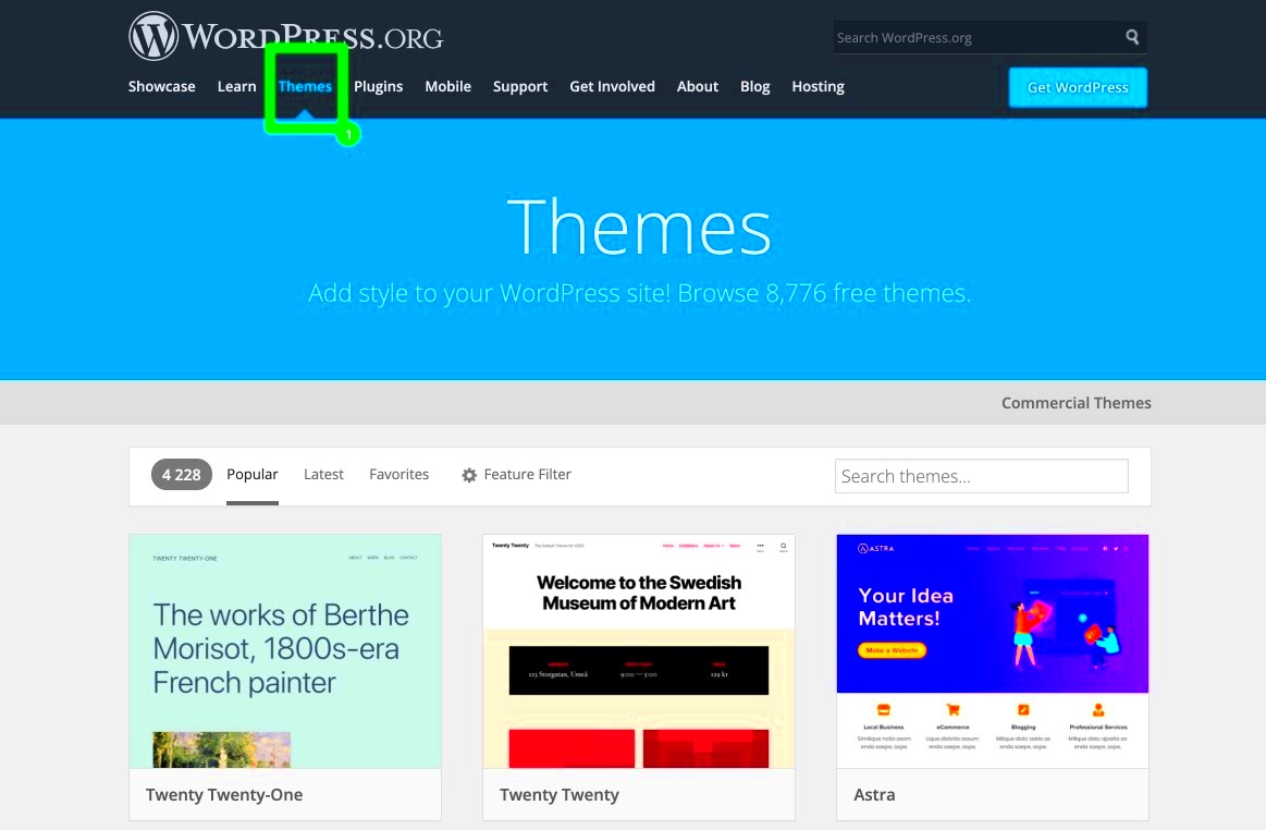 How to Install a WordPress Theme Manually  Set Up Guide for Beginners