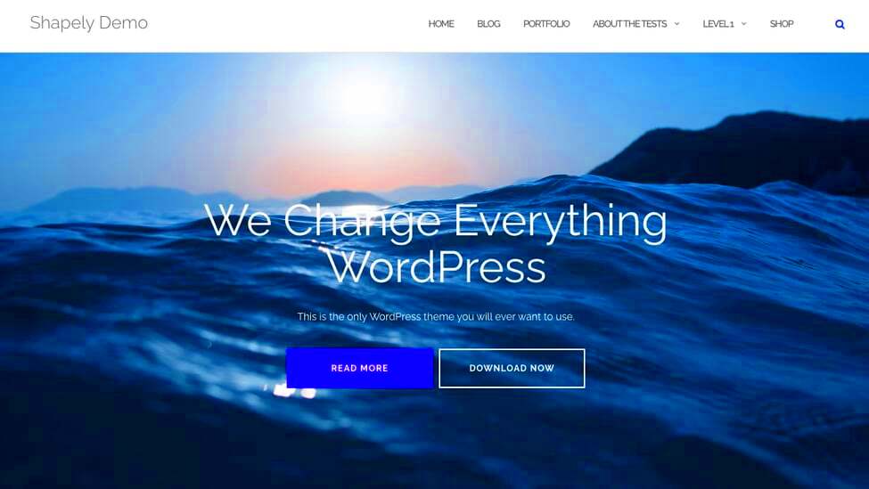 Best Responsive WordPress Theme Options 55 of our Favorites