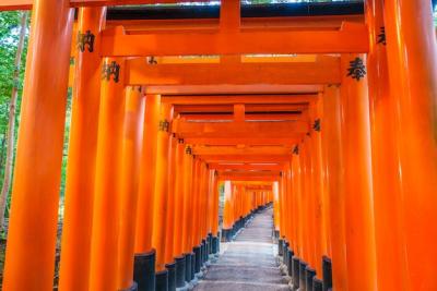 Buddhist Torii Orient Passage Vintage – Download Free Stock Photo