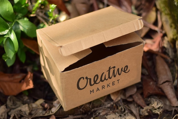 A Brown Box Featuring the Word ‘Experiment’ – Free Stock Photo, Download for Free