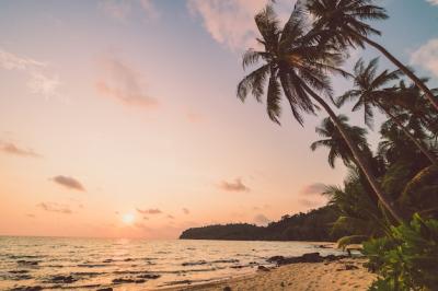 Beautiful Paradise Island with Beach and Sea – Free Stock Photo, Download Free