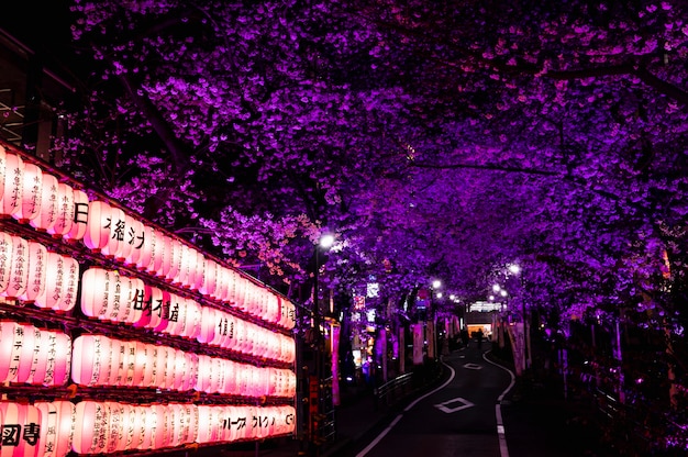 Modern Tokyo Street Background – Free Download