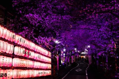Modern Tokyo Street Background – Free Download