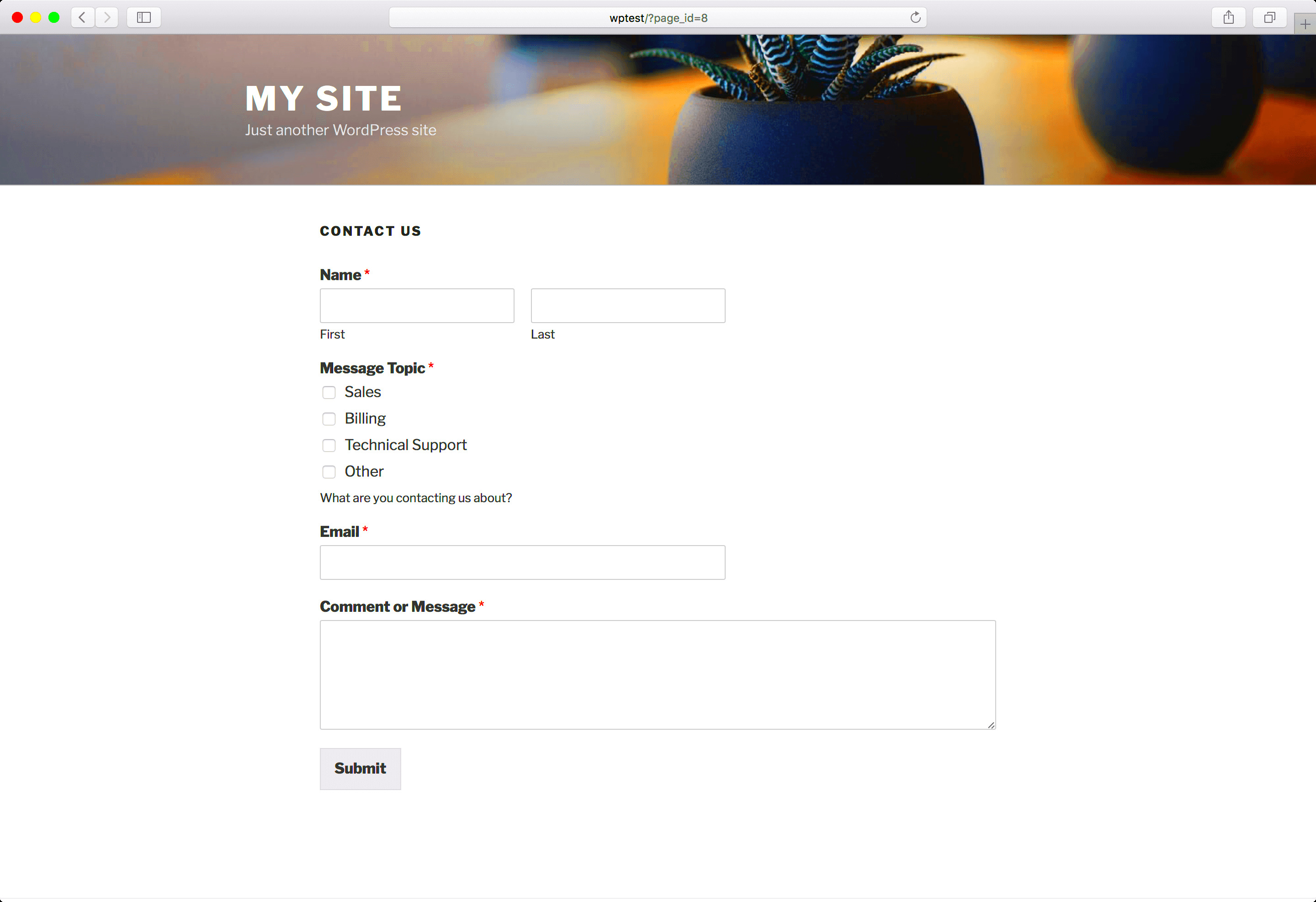 13 Best Free Form Plugins WordPress 2021
