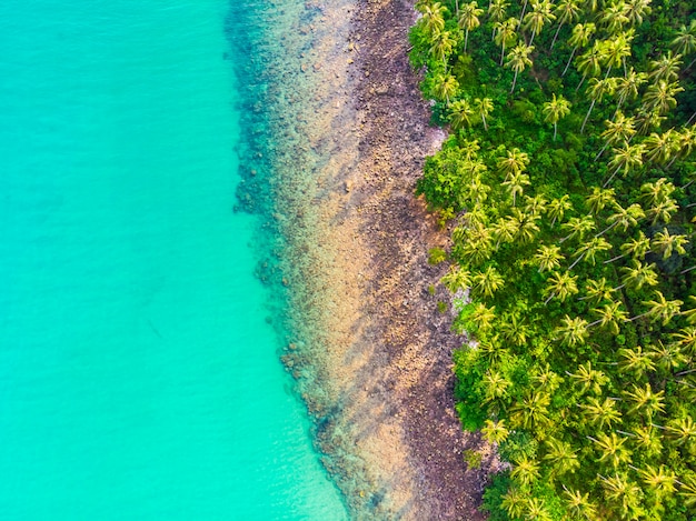 Stunning Aerial View of Beach and Sea with Coconut Palm Tree – Free Download