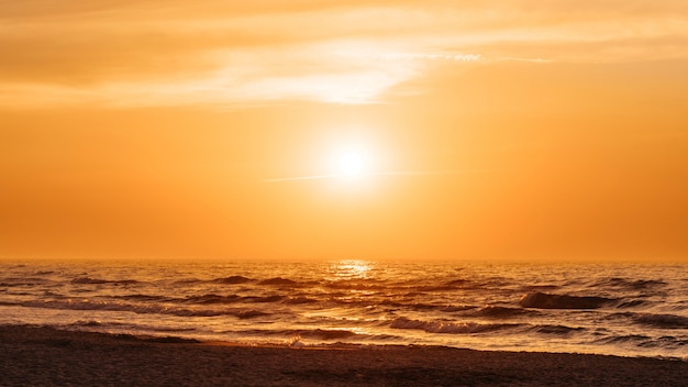 Orange Sunset at a Beach in Summer – Free Download