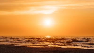 Orange Sunset at a Beach in Summer – Free Download
