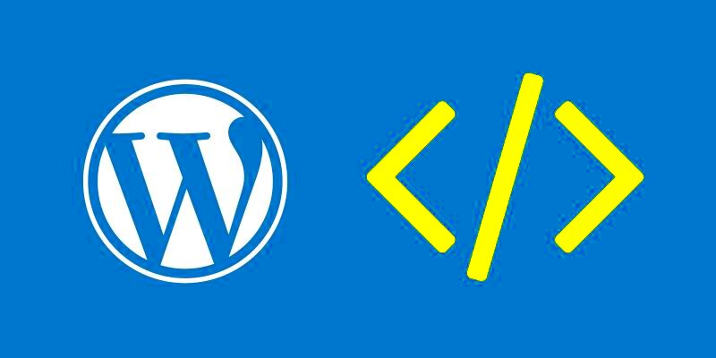 Best Methods To Customize WordPress Plugins  IThemlandco