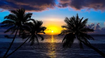 Tropical Beach at Sunset with Silhouette Palm Trees – Free Download