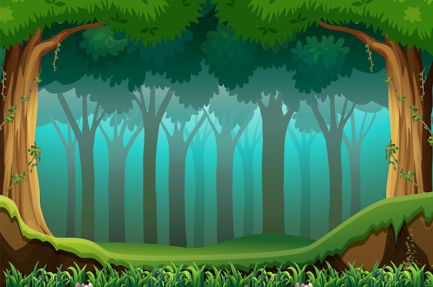 Captivating Nature Scene with Dense Trees – Free Download