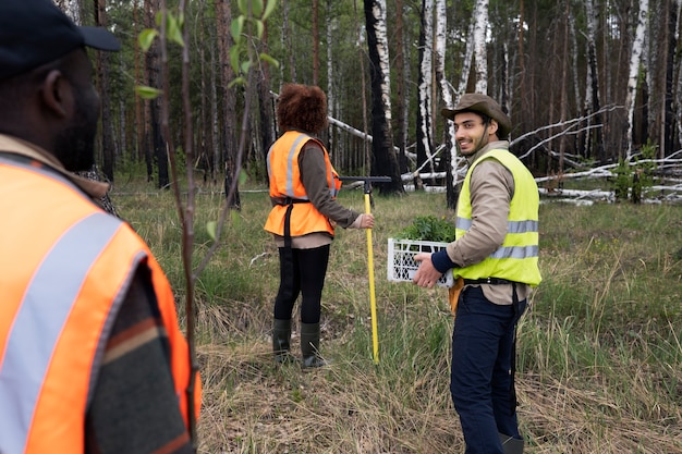 Reforestation Efforts by Volunteer Groups – Free Stock Photo, Download for Free