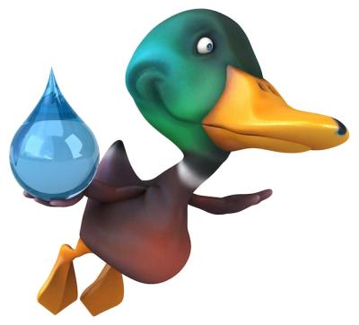 Funny Duck 3D Illustration – Free Download