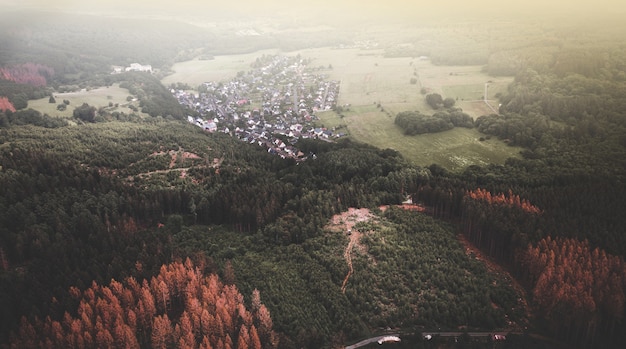 Aerial View of Rural Houses Surrounded by Dense Forest – Free Download