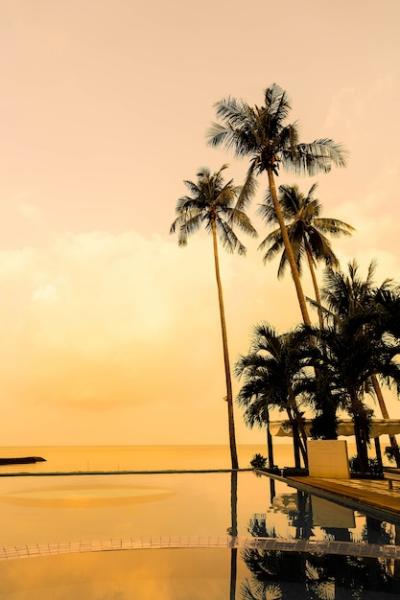 Stunning Sunrise Over a Luxury Hotel Resort with Silhouette of Coconut Palm Trees – Free Download