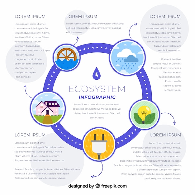 Ecosystem Infographic Concept – Free Stock Photo, Download Free