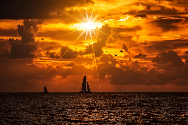 Silhouetted Boat Sailing into a Colorful Sunset with Birds – Free Download