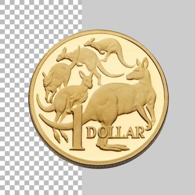 One Dollar Coin: Financial Concept Imagery – Free Download