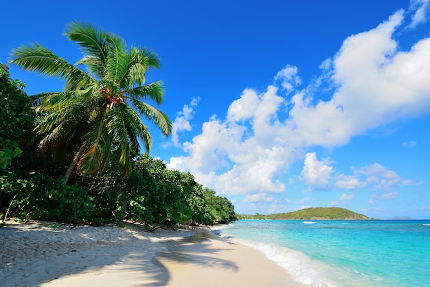 Virgin Islands Beach – Free Stock Photo for Download