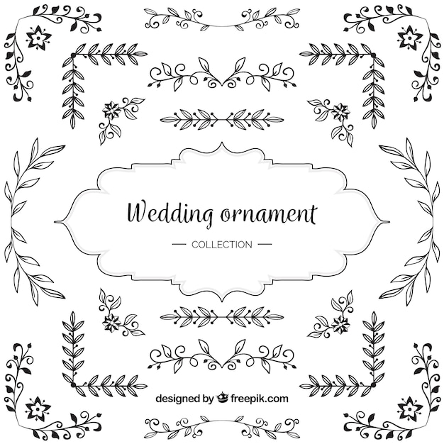 Wedding Ornaments Pack Vector Templates – Free Stock Photo Download