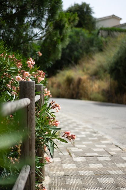 Cozy Streets of a Small Town in the South of Spain – Free Download