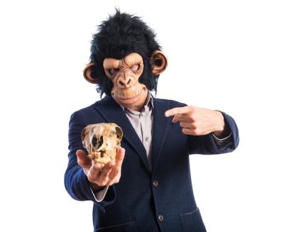 Monkey Man Holding a Skull – Free Stock Photo for Download