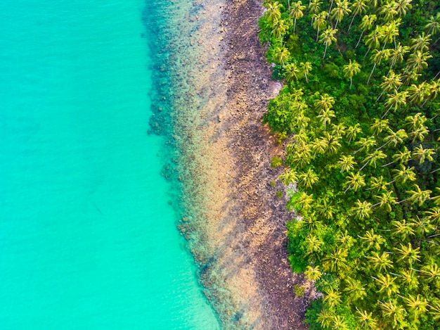 Beautiful Aerial View of Beach and Sea with Coconut Palm Tree – Free to Download