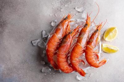 Raw Shrimps on Ice Cubes – Free Stock Photo, Download Free