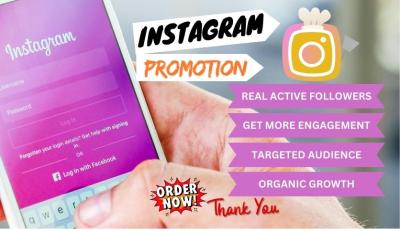 Instagram Growth with Real Followers