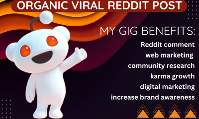 I Will Do Reddit Management for Your Website, AI App, IPTV, or E-Commerce Product