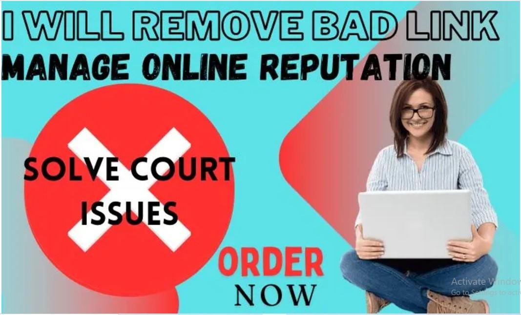 I Will Be Your Online Reputation Manager, Remove Harmful Links, and Solve Court Cases