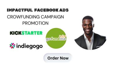 I Will Successfully Fundraise Your Crowdfunding Campaign on Kickstarter, GoFundMe, Indiegogo with Facebook Ads